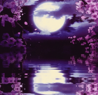 Full Moon Reflected In Water With Purple Flowers GIF
