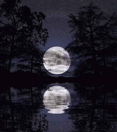 Full Moon Reflected In Water With Trees GIF