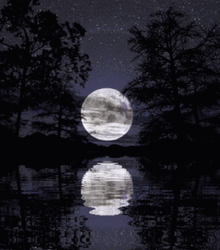 Full Moon Reflection On Water GIF