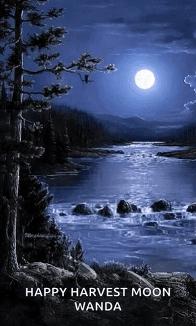 Full Moon Shining Over River With Trees GIF