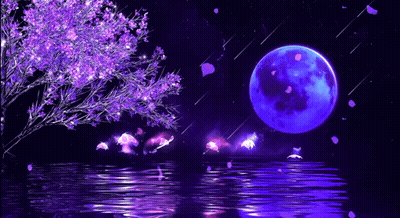 Full Moon Shining Over Water GIF