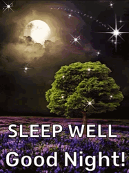 Full Moon Sleep Well Good Night GIF