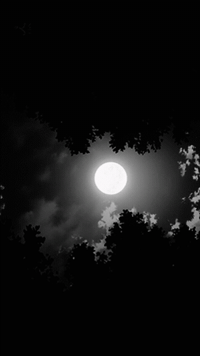 Full Moon Through Trees GIF