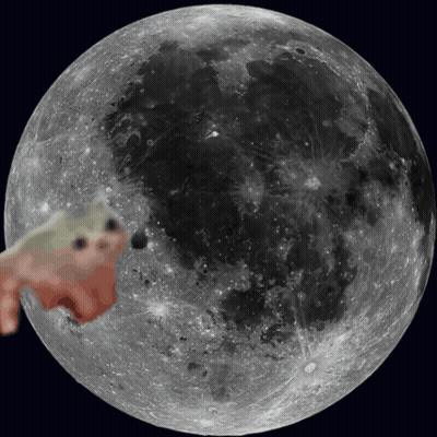 Full Moon With Frog GIF