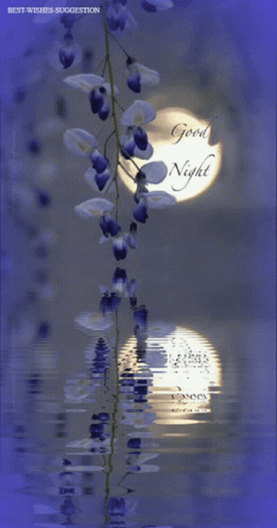 Full Moon With Good Night GIF