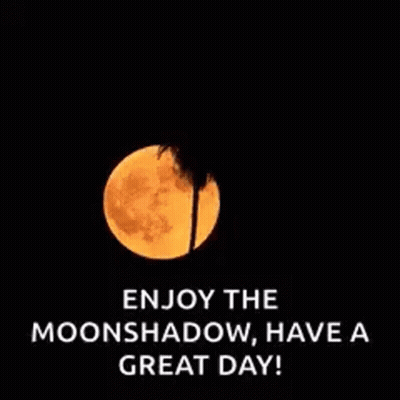 Full Moon With Palm Tree GIF