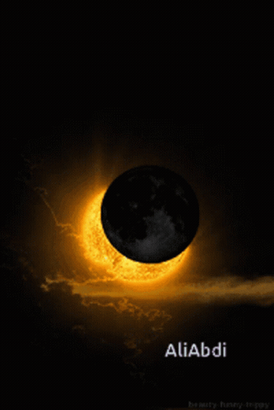 Full Moon With Purple Flowers Reflected In Water GIF
