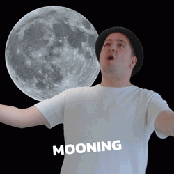 Full Moon Wolf Scream Parody Meme GIF