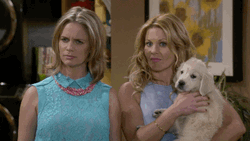 Fuller House Caressing A Dog GIF