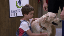 Fuller House Kid Hugging A Dog GIF
