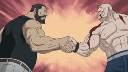 Fullmetal Alchemist Sig Curtis Alex Louis Handshake GIF