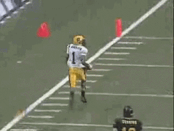 Fumble Desean Jackson Touchdown GIF