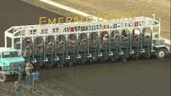 Fun Dinosaur Racing GIF