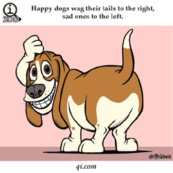 Fun Facts About Dogs GIF