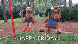 Fun Friday Dogs Swinging GIF