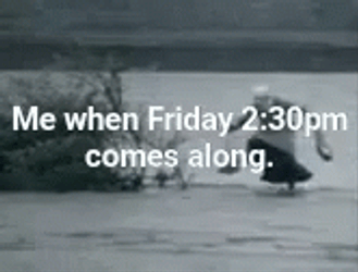 Fun Friday Jumping In The Water GIF