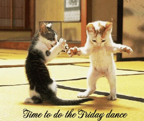 Fun Friday Kittens Dancing GIF