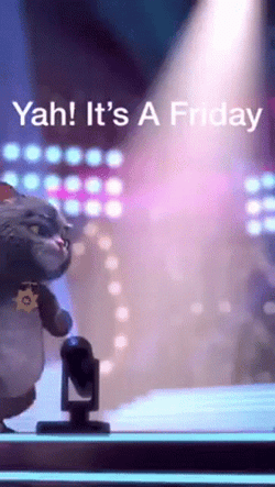 Fun Friday Performing Cat GIF