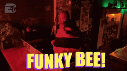 Funky Bee Meme GIF