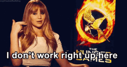 Funniest Jennifer Lawrence Im Dumb GIF