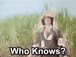 Funny Amitabh Bachan Scarecrow Who Knows GIF