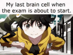 The best Anime Pfp memes  Memedroid