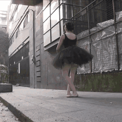 Funny Ballerina Pirouette Boomerang GIF