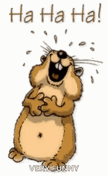 Funny Belly Laughing Cartoon Groundhog GIF
