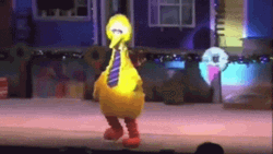 Funny Big Bird Falling Fail GIF
