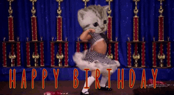 Funny Birthday Cat Girl Dance