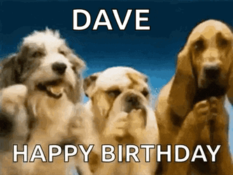 Funny Birthday Funny Happy Birthday GIF