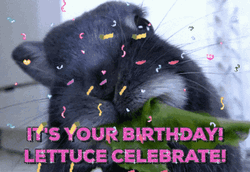 Funny Birthday Lettuce Celebrate Rat
