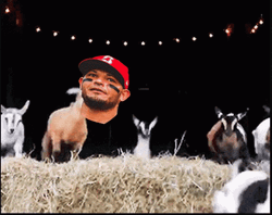 Funny Brown Goat Meme GIF