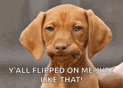 Funny Brown Puppy Y All Flipped On Me GIF