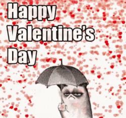 Funny Cat Avoiding Hearts In Valentines Day GIF