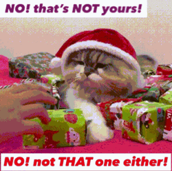 Funny Cat Christmas Gift