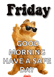 Funny Cat Dancing Friday Meme  GIF