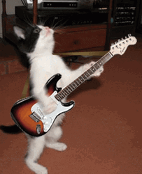Funny Cat Electric Guitar