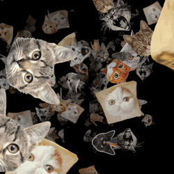 Funny Cat Heads Collage  GIF
