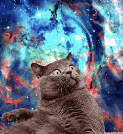 Funny Cat In Outer Space GIF