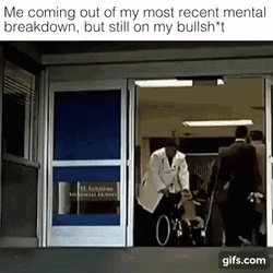 Funny Cat Mental Breakdown Admission GIF