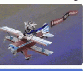 Funny Cat Riding Plane Rapidly GIF