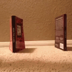 Funny Cat Wrecking Ball Meme GIF