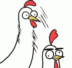 Funny Chicken Chicken Bro Head Poke  GIF