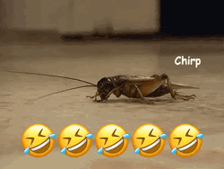 Funny Crickets Chirping GIF
