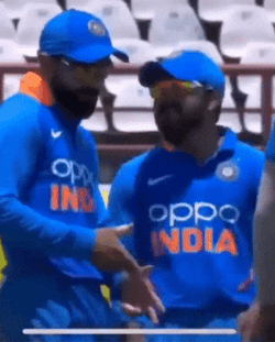 Funny Crickets Meme Chilling With Friend GIF
