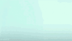 Funny Cruise Count Dracula Question GIF