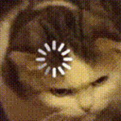 Funny Cute Cat Loading Screen GIF
