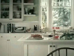 Funny Cute Dog Cat GIF