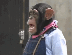 Funny Cute Monkey Scream GIF